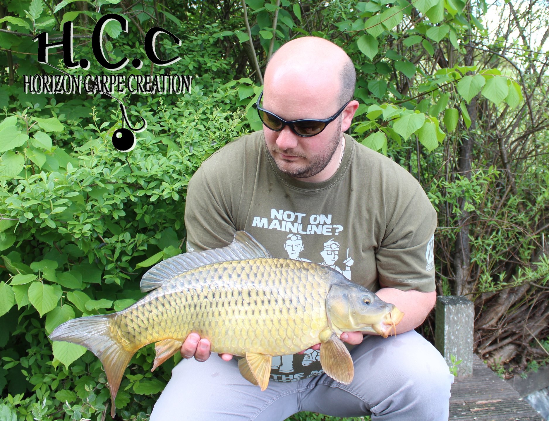 ANTHONY ZAMBELLI - TESTEUR HCC