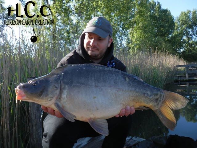ANTHONY ZAMBELLI - TESTEUR HCC