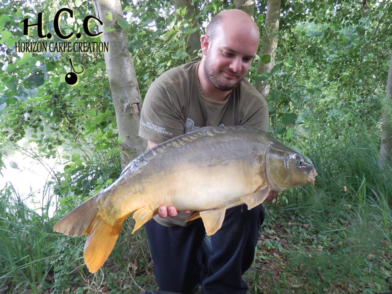 ANTHONY ZAMBELLI - TESTEUR HCC