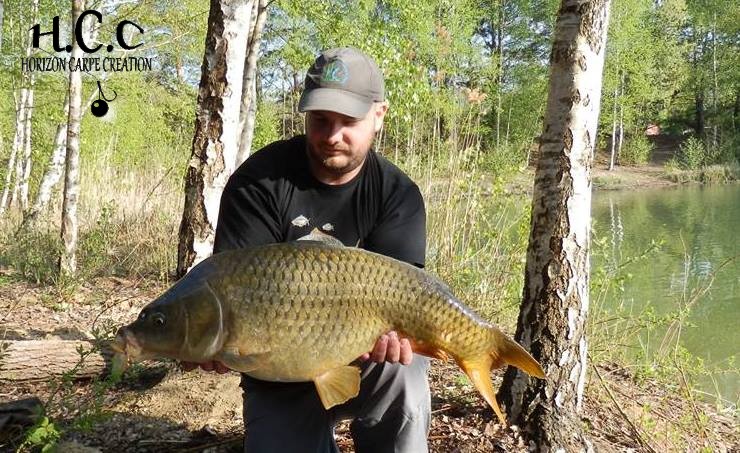 ANTHONY ZAMBELLI - TESTEUR HCC
