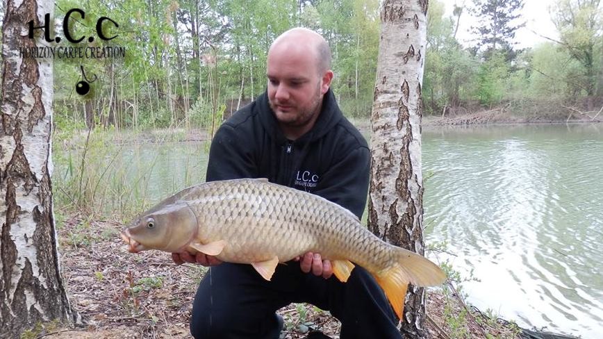 ANTHONY ZAMBELLI - TESTEUR HCC