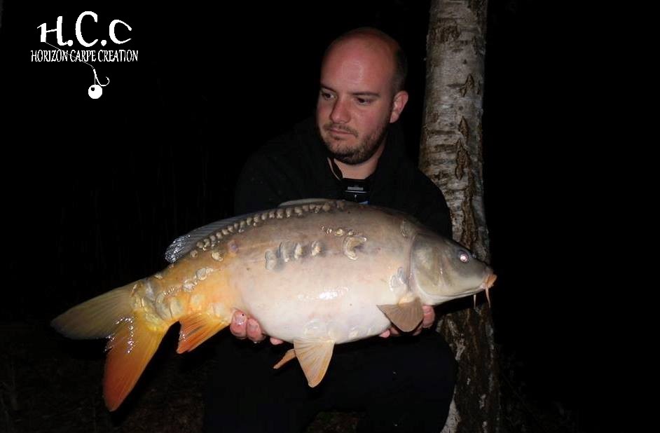 ANTHONY ZAMBELLI - TESTEUR HCC