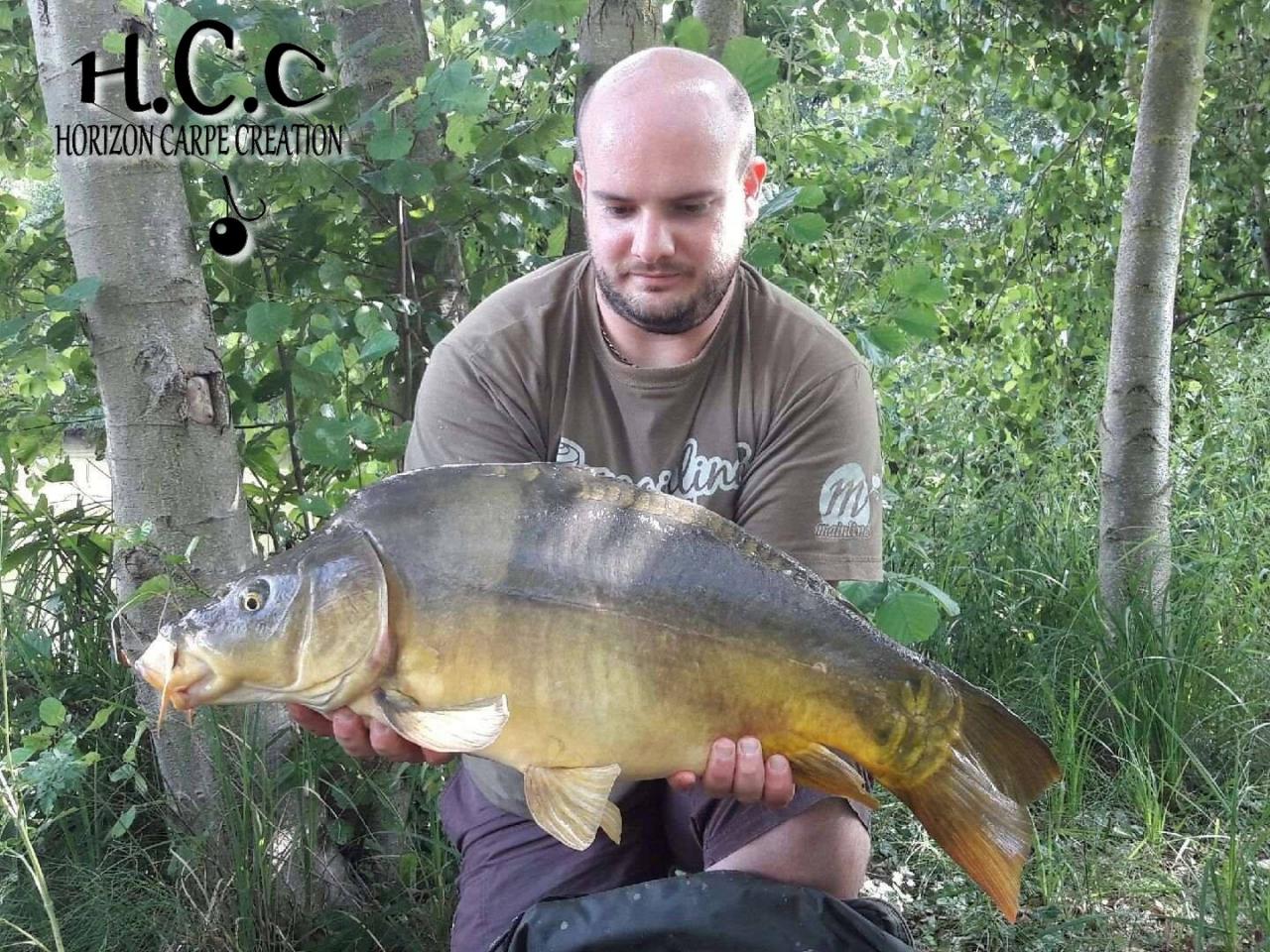 ANTHONY ZAMBELLI - TESTEUR HCC