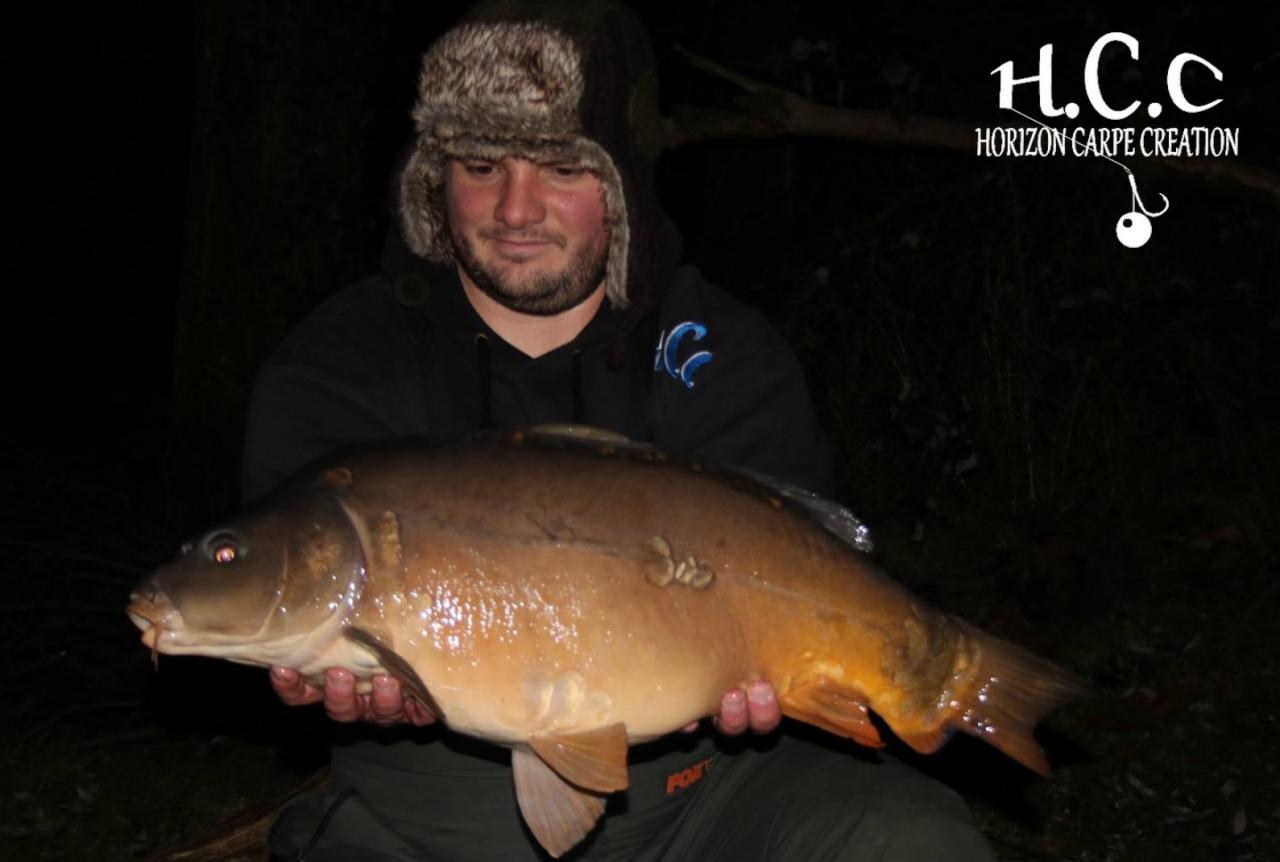 ANTHONY ZAMBELLI - TESTEUR HCC