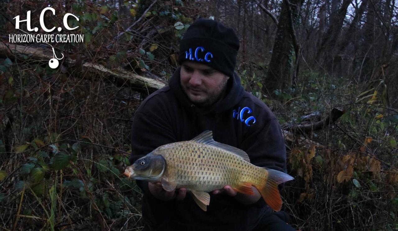 ANTHONY ZAMBELLI - TESTEUR HCC