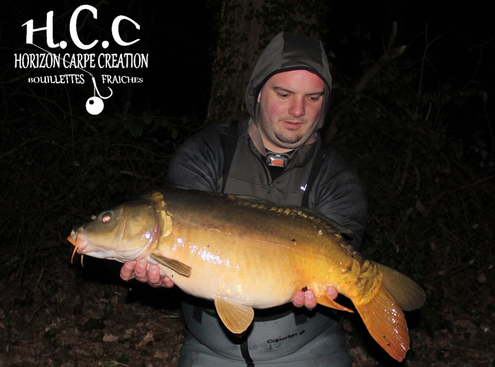 ANTHONY ZAMBELLI - TESTEUR HCC