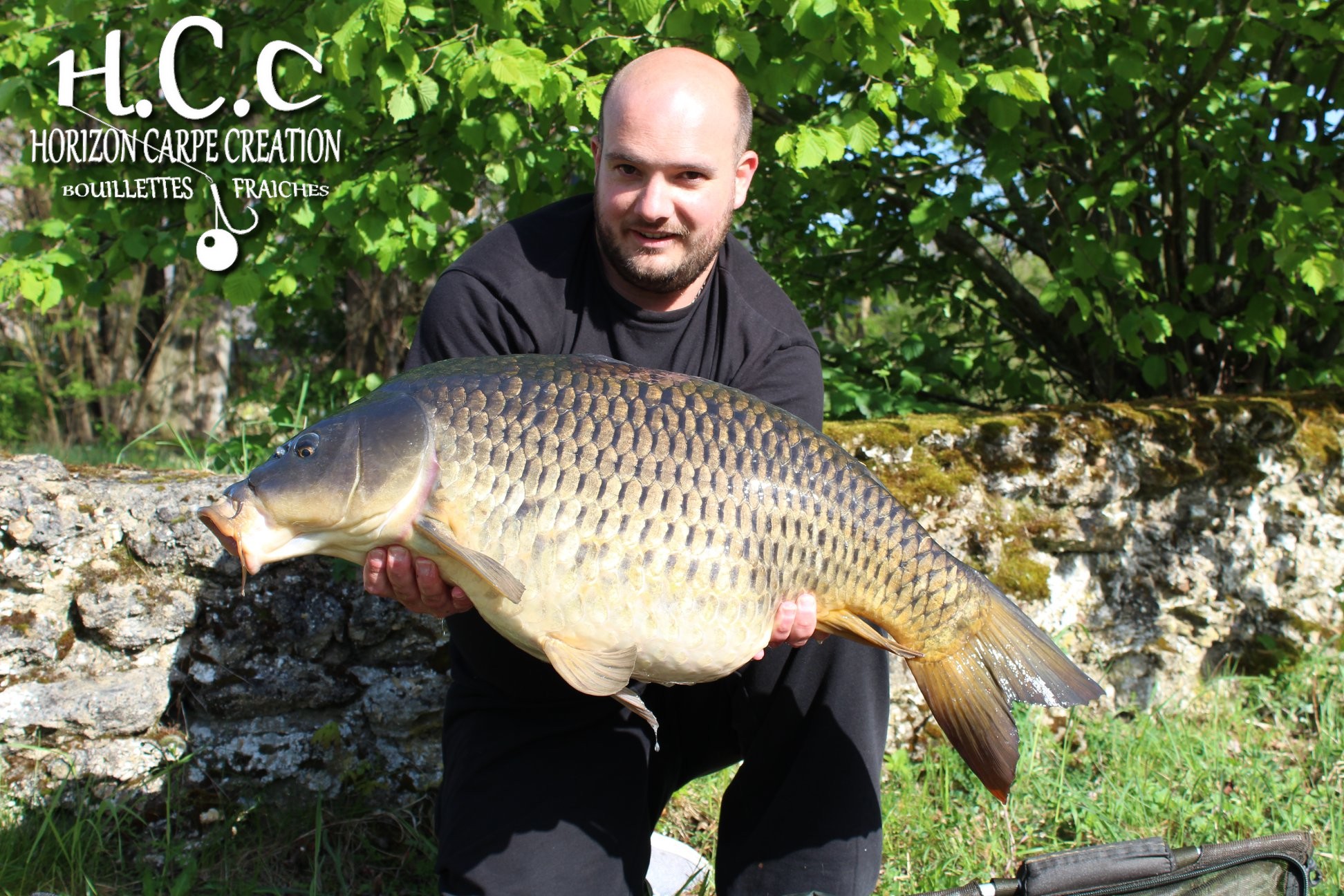 ANTHONY ZAMBELLI - TESTEUR HCC