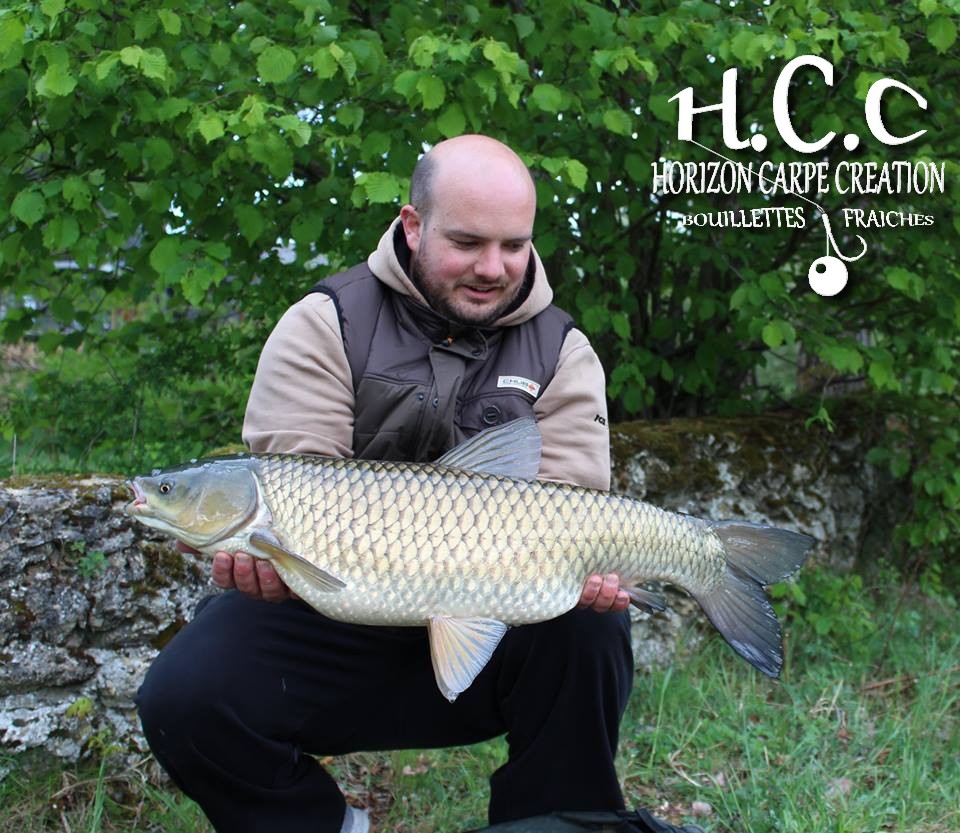 ANTHONY ZAMBELLI - TESTEUR HCC