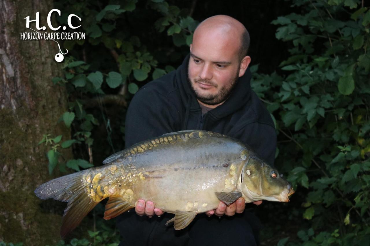 ANTHONY ZAMBELLI - TESTEUR HCC