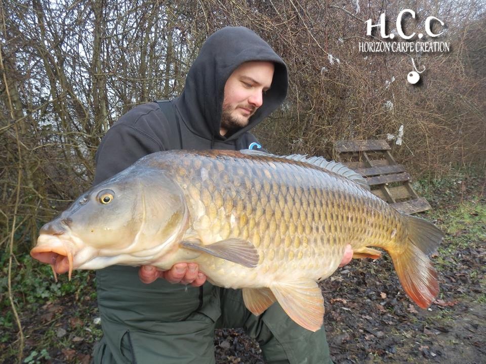 ANTHONY ZAMBELLI - TESTEUR HCC