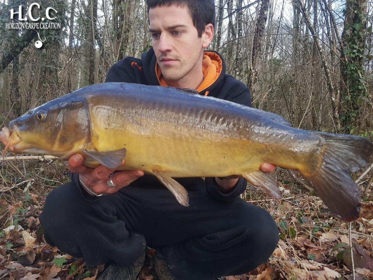 JULIEN DELHOUME - CONSULTANT HCC