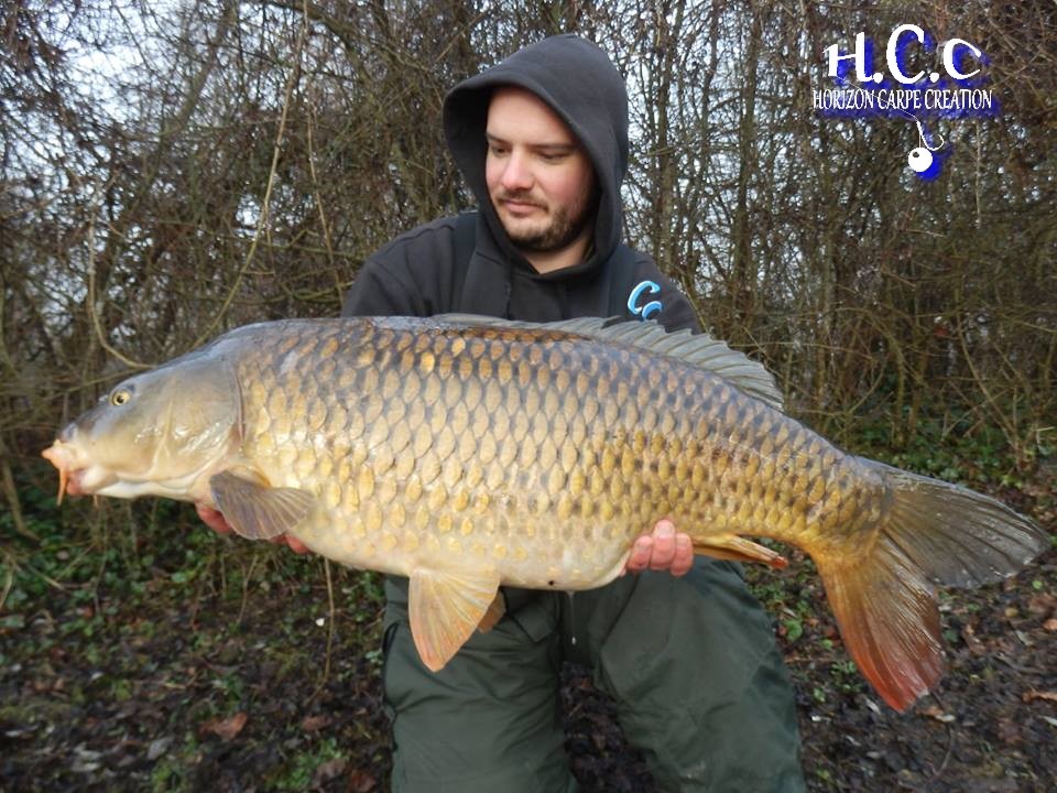 ANTHONY ZAMBELLI - TESTEUR HCC