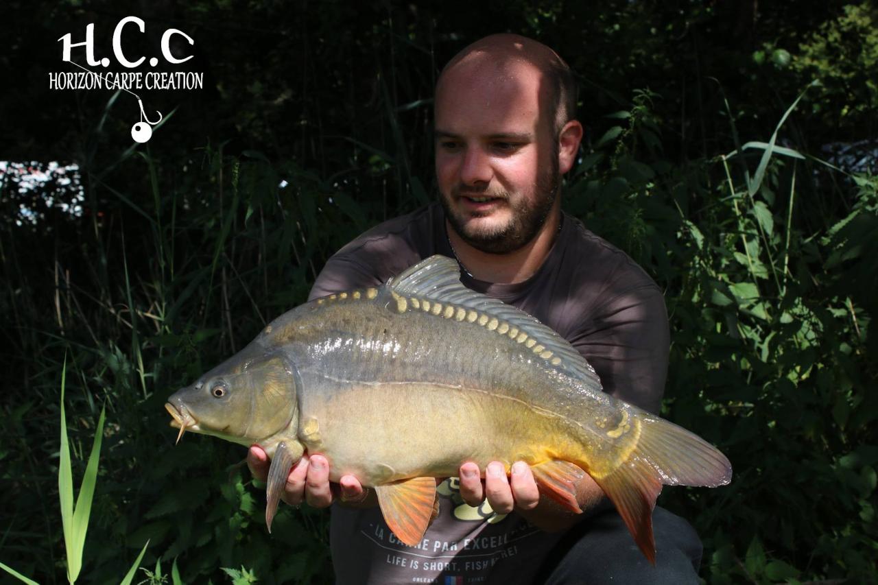 ANTHONY ZAMBELLI - TESTEUR HCC