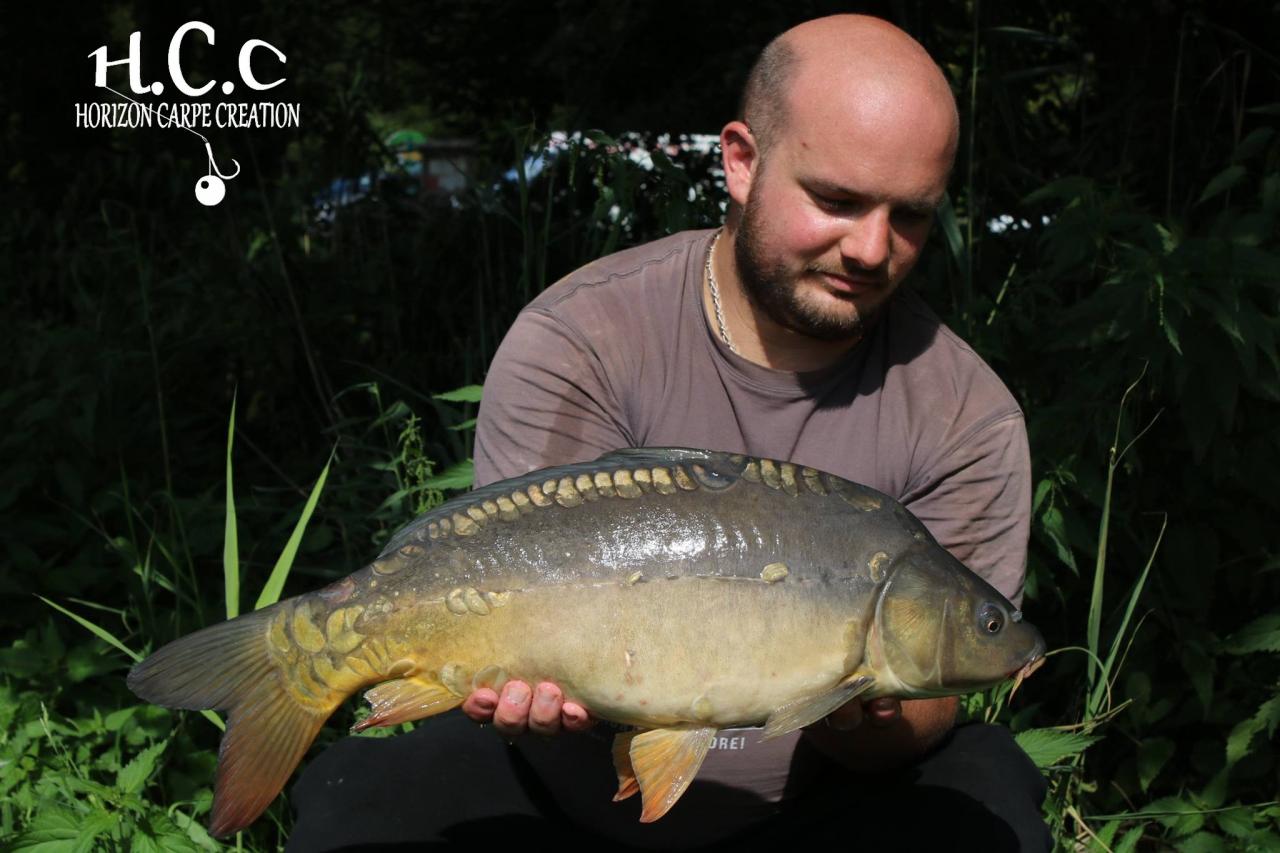 ANTHONY ZAMBELLI - TESTEUR HCC