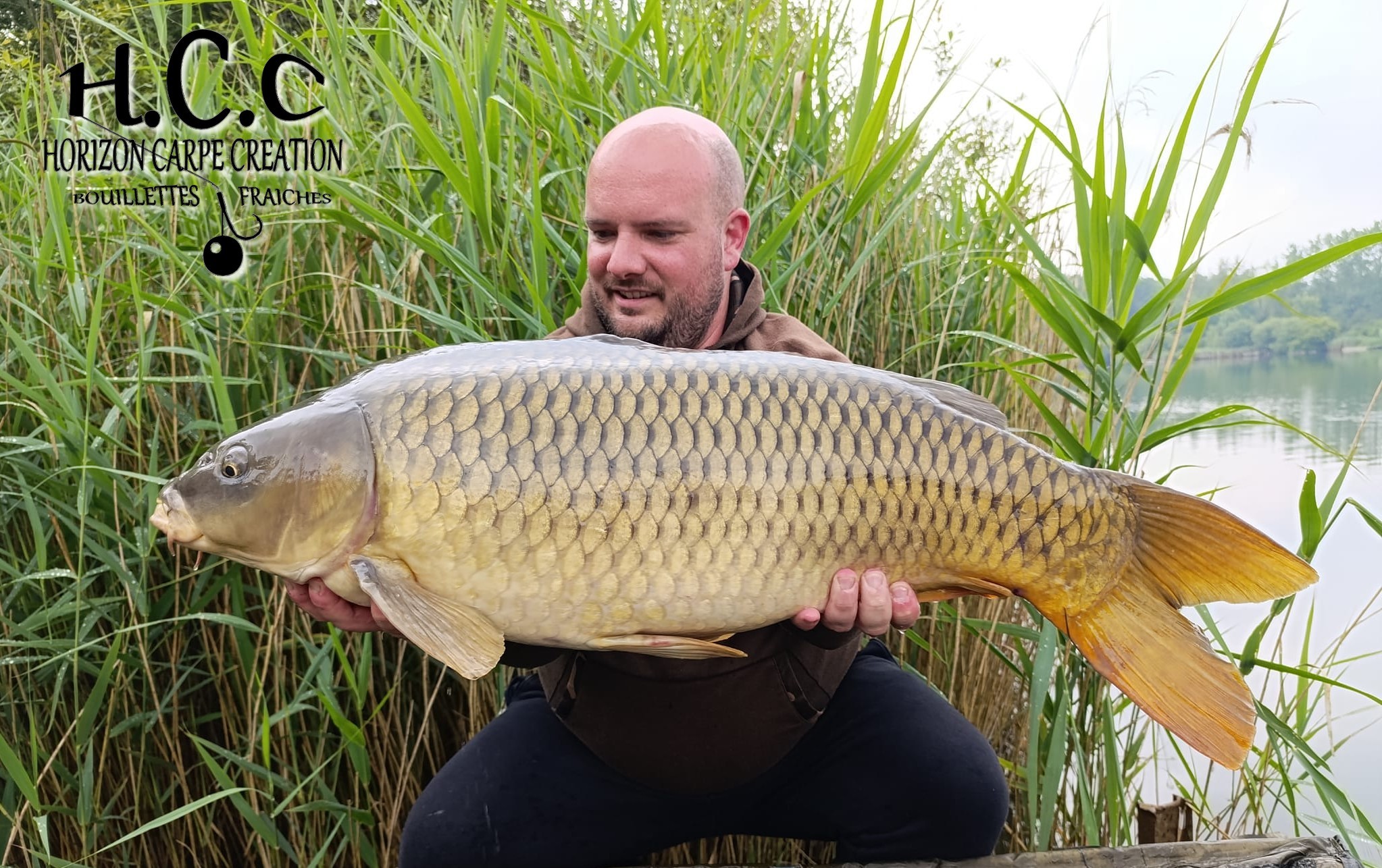 ANTHONY ZAMBELLI - TESTEUR HCC