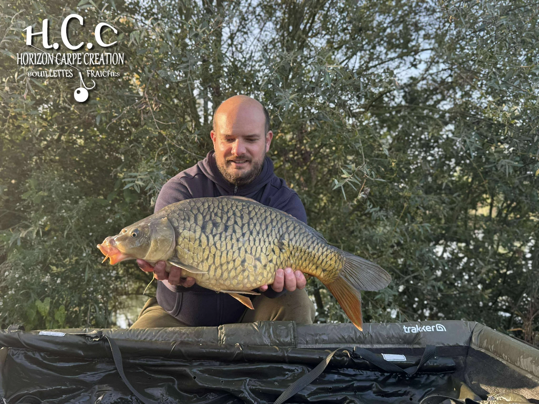 ANTHONY ZAMBELLI - TESTEUR HCC