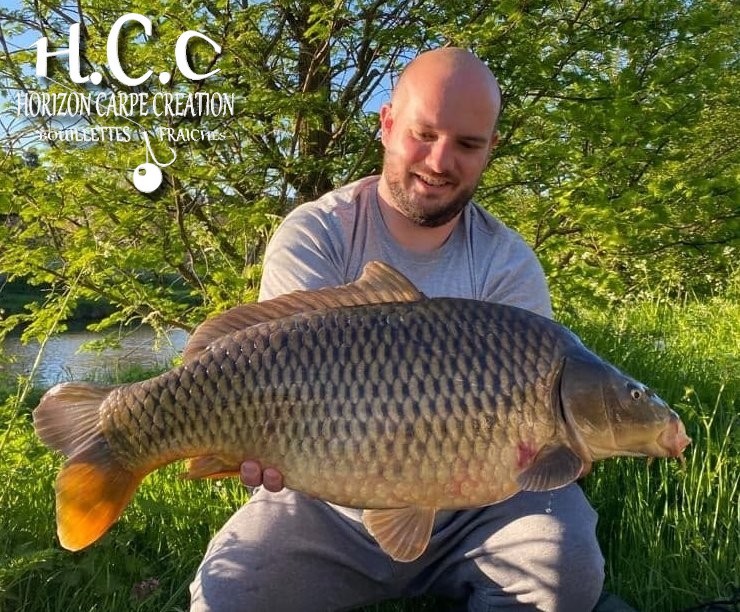 ANTHONY ZAMBELLI - TESTEUR HCC