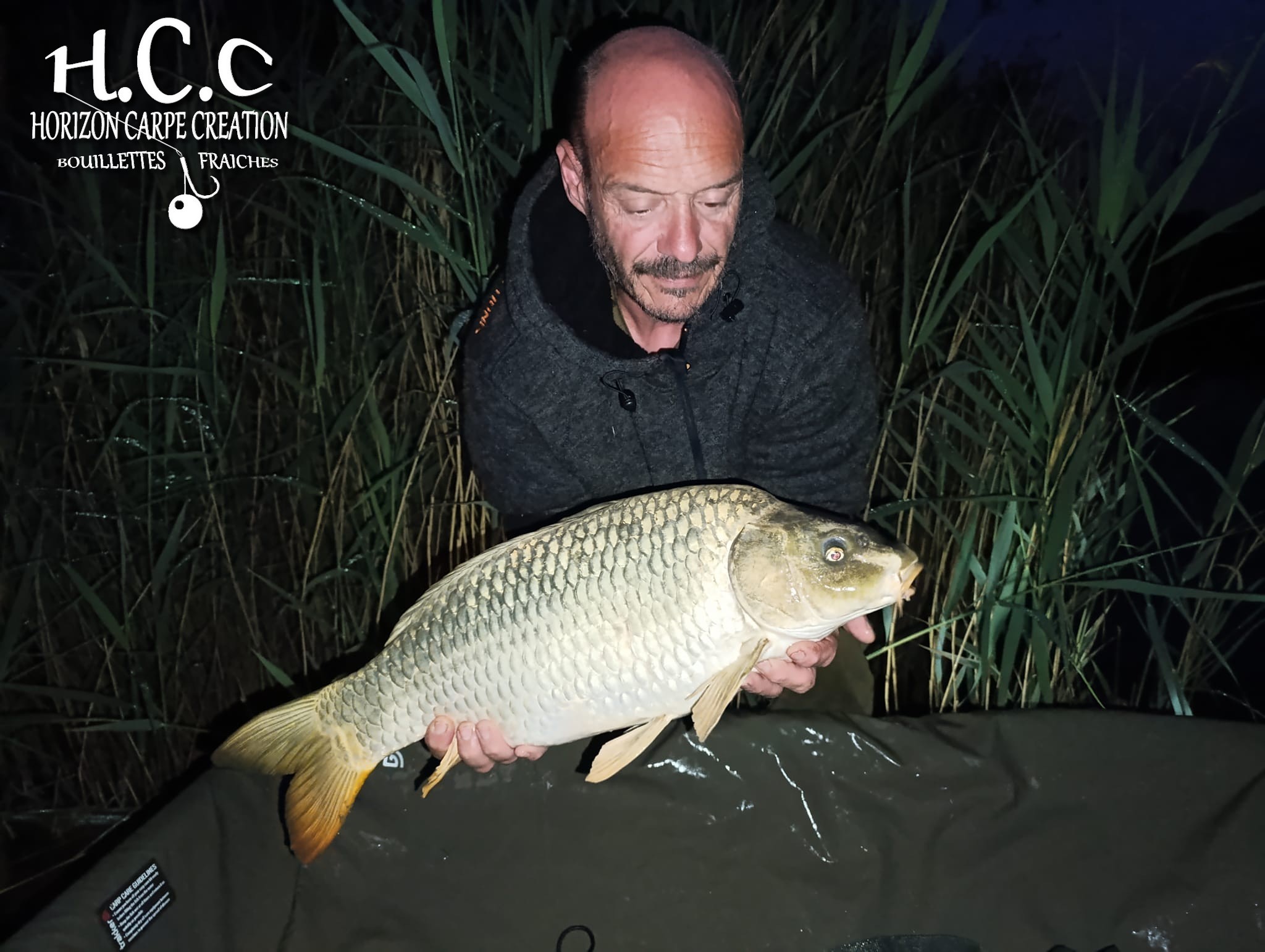 ANTHONY ZAMBELLI - TESTEUR HCC