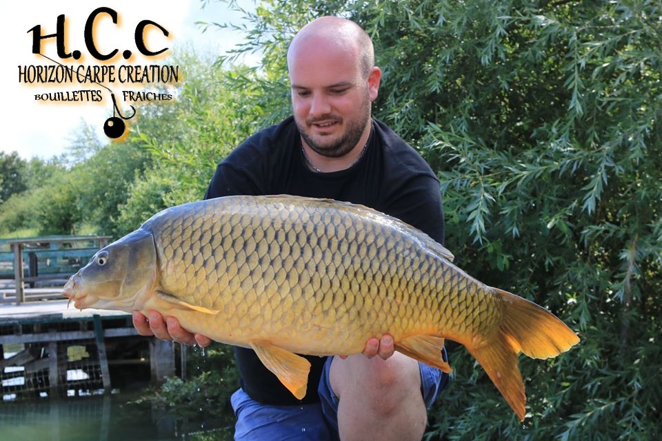 ANTHONY ZAMBELLI - TESTEUR HCC