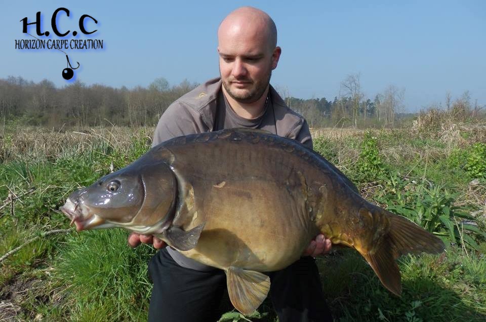 ANTHONY ZAMBELLI - TESTEUR HCC