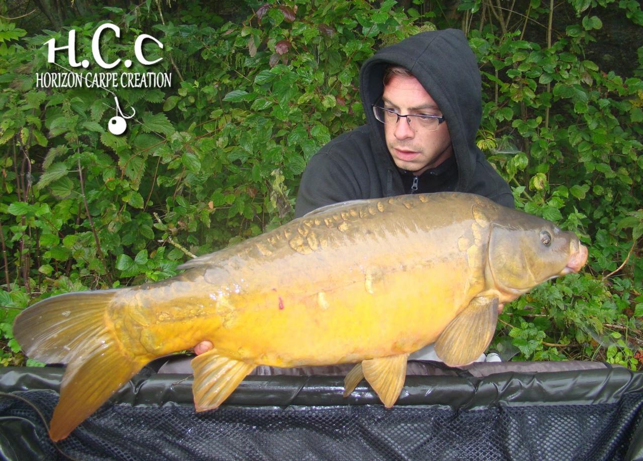 BAPTISTE FIORANI - TESTEUR HCC