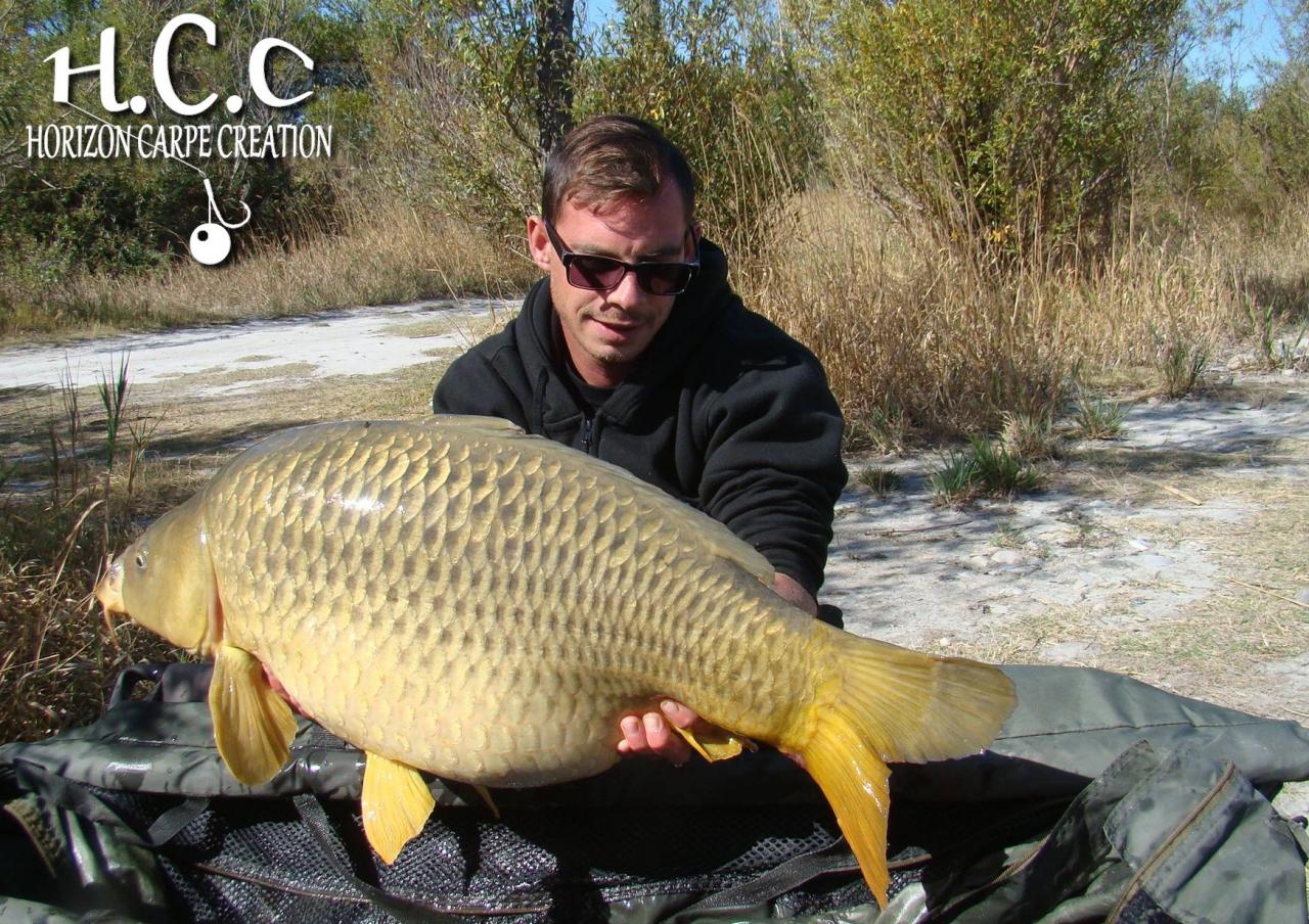 BAPTISTE FIORANI - TESTEUR HCC