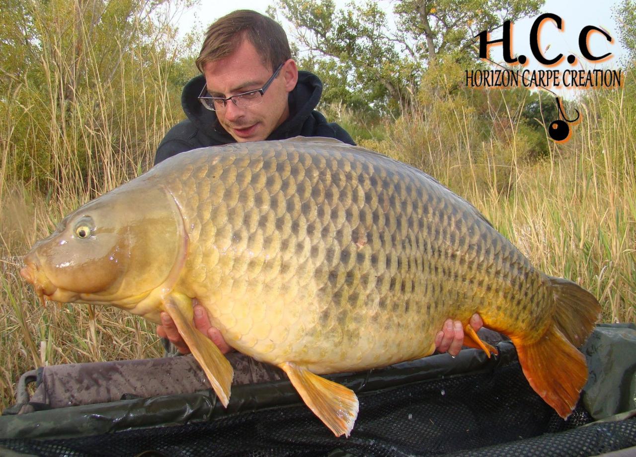 BAPTISTE FIORANI - TESTEUR HCC