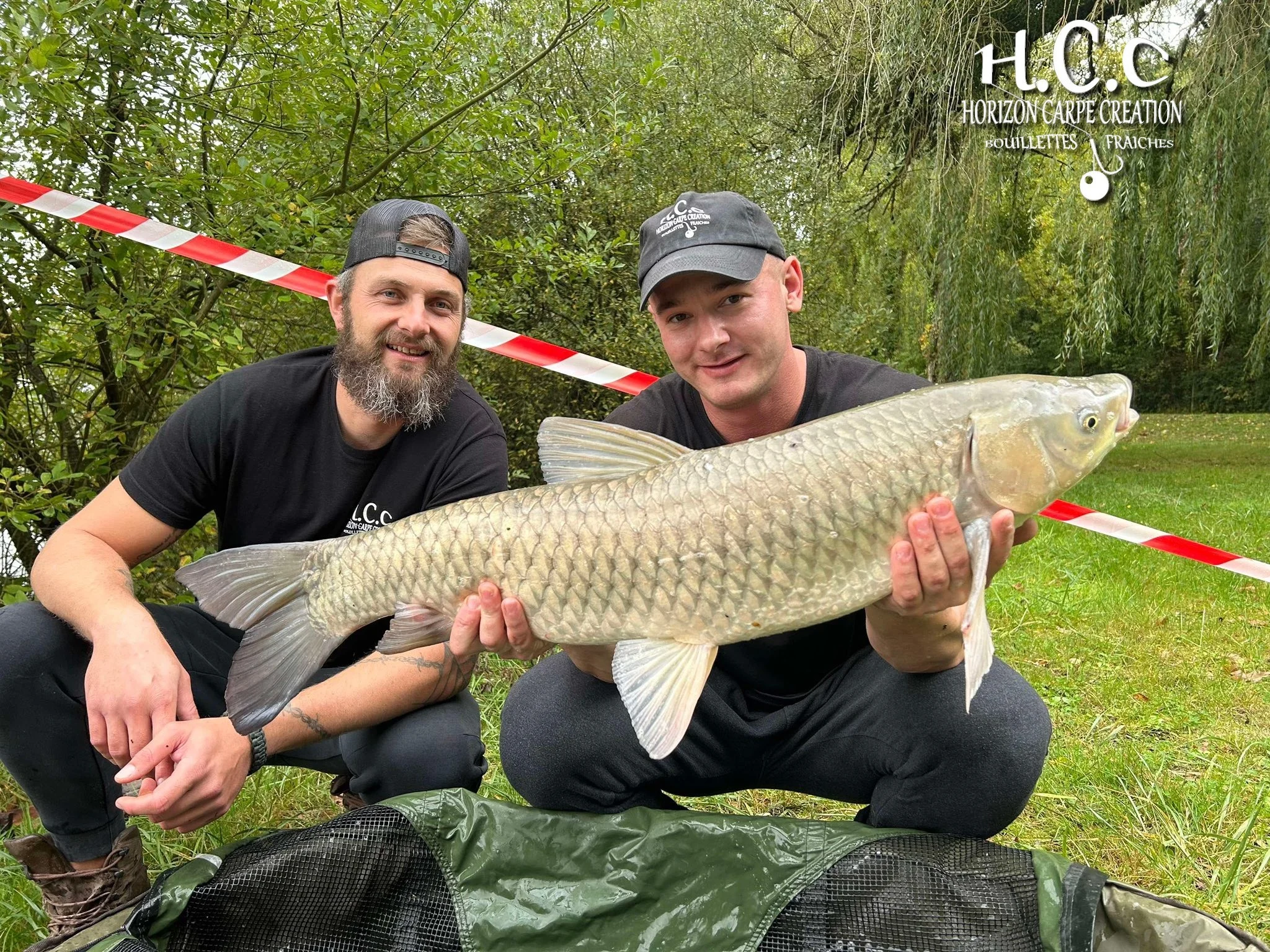 LUK ET BAPTISTE - CONSULTANTS HCC