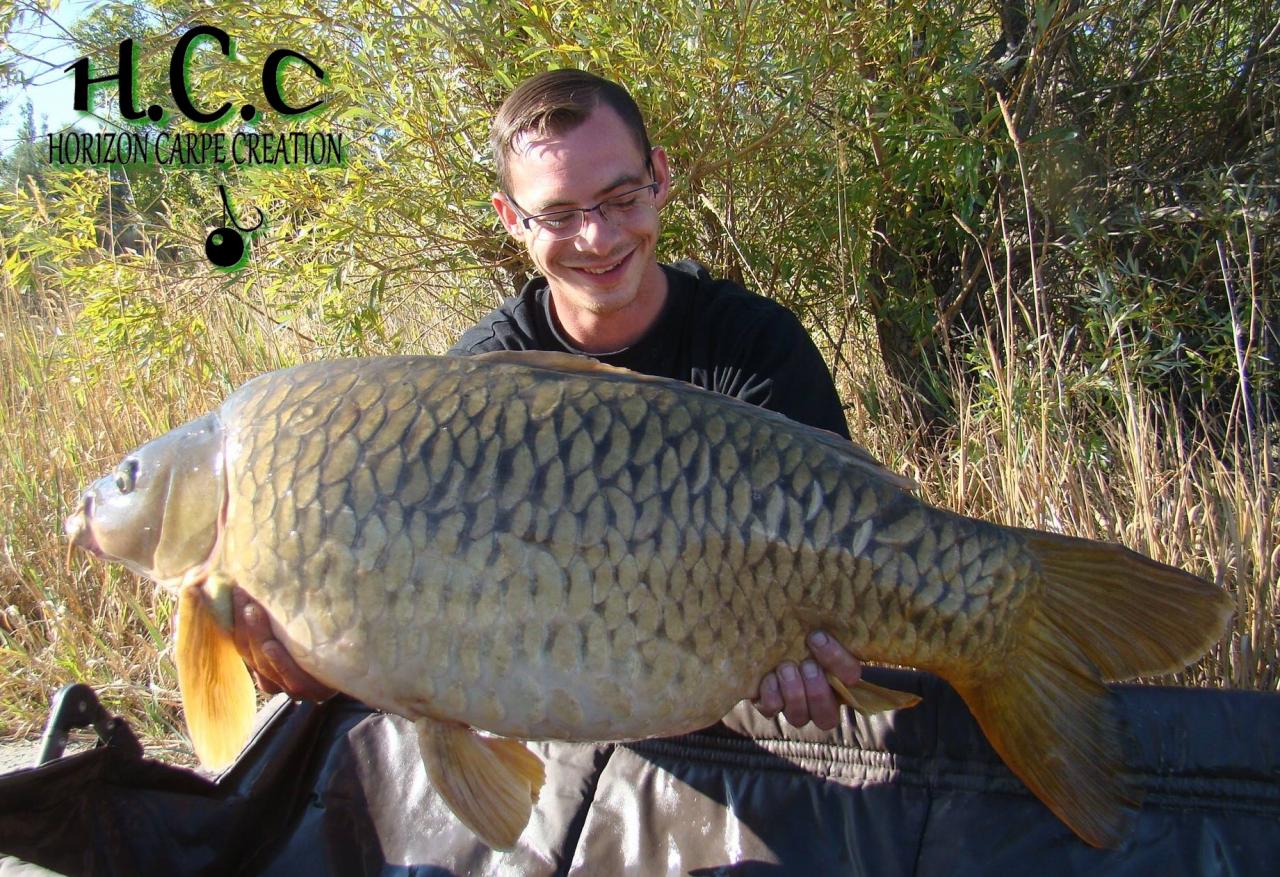 BAPTISTE FIORANI - TESTEUR HCC