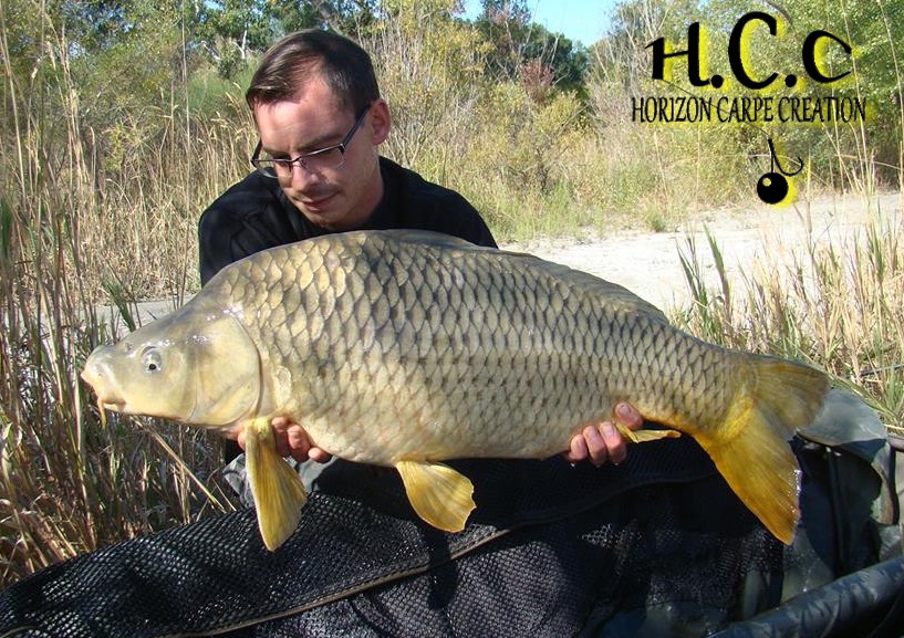 BAPTISTE FIORANI - TESTEUR HCC