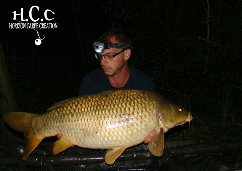 BAPTISTE FIORANI - TESTEUR HCC