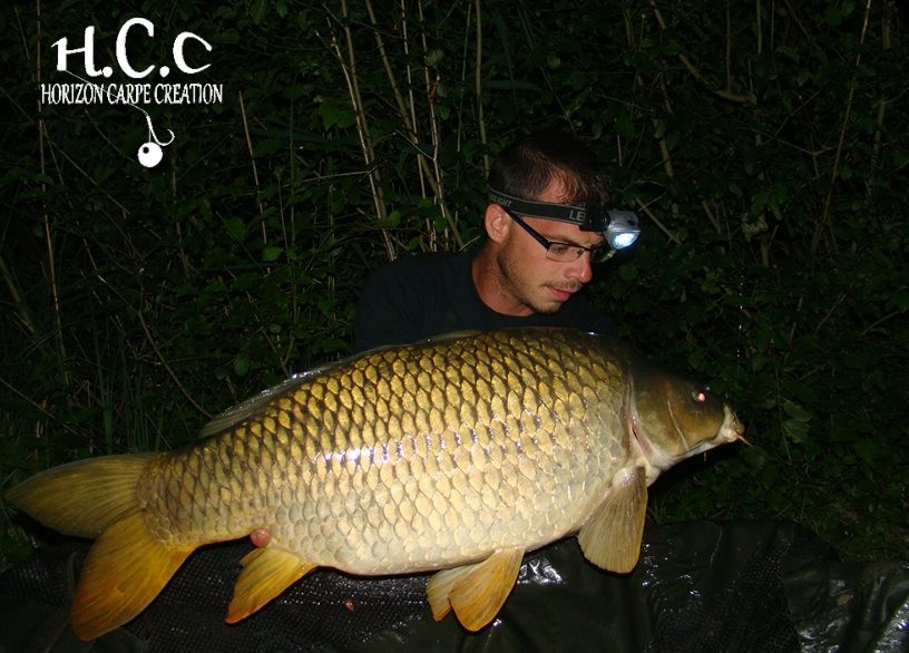 BAPTISTE FIORANI - TESTEUR HCC