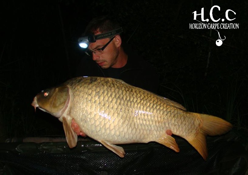 BAPTISTE FIORANI - TESTEUR HCC