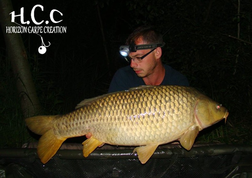BAPTISTE FIORANI - TESTEUR HCC