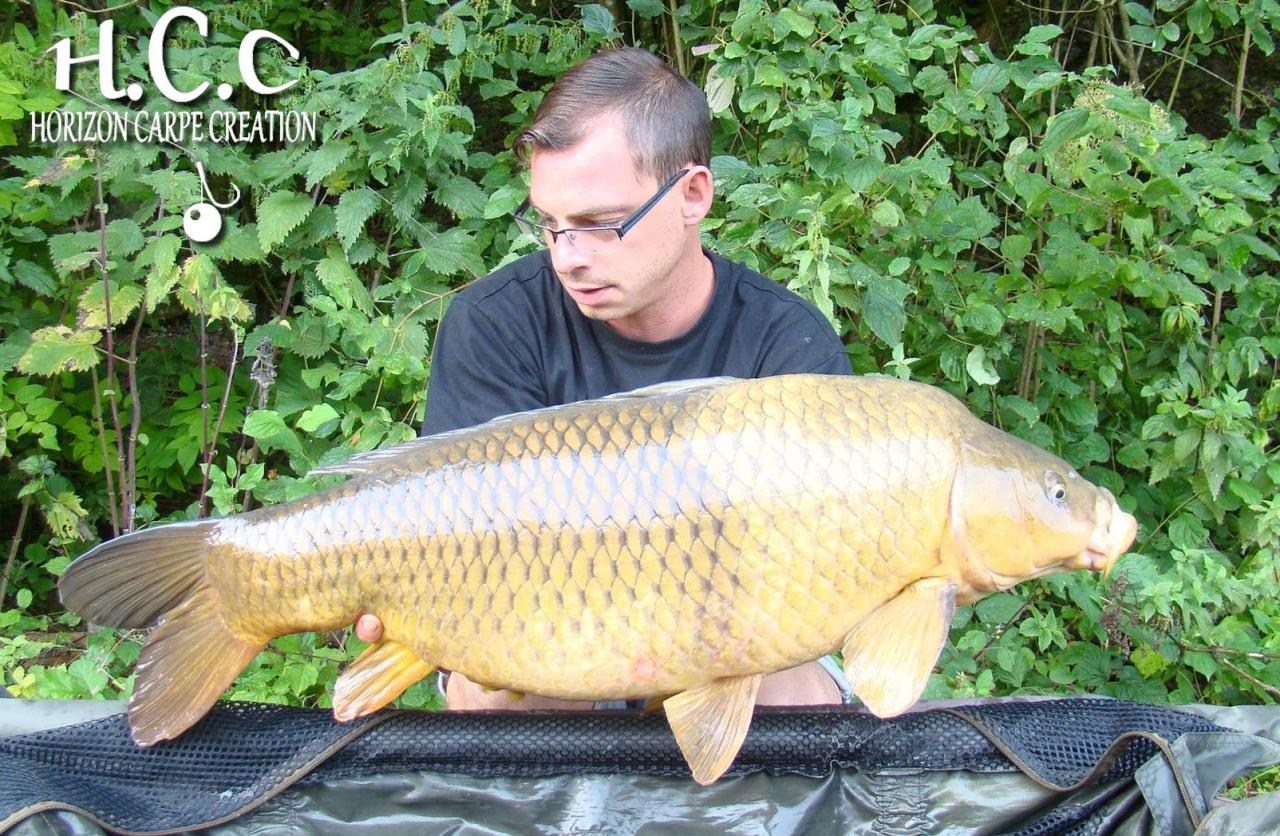 BAPTISTE FIORANI - TESTEUR HCC