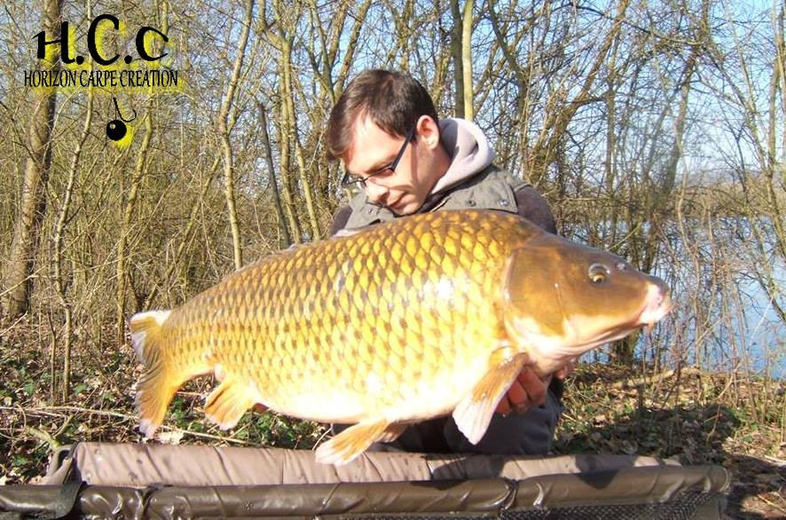 BAPTISTE FIORANI - TESTEUR HCC