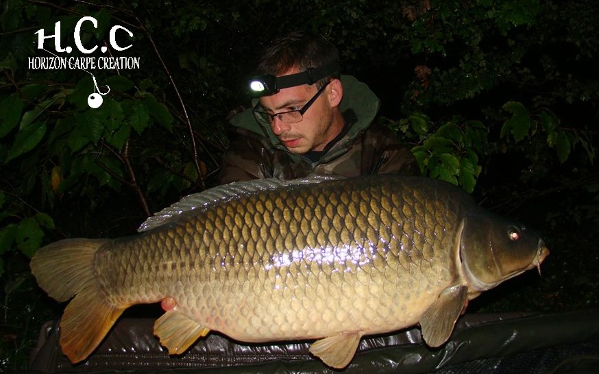BAPTISTE FIORANI - TESTEUR HCC