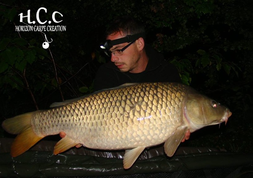 BAPTISTE FIORANI - TESTEUR HCC