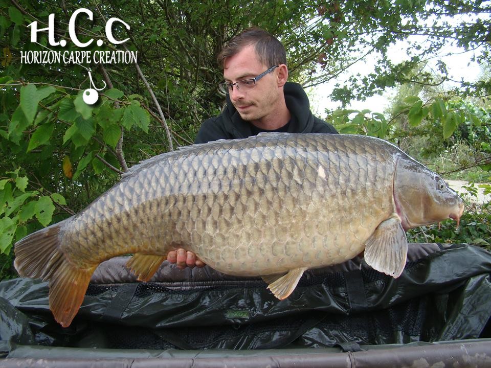 BAPTISTE FIORANI - TESTEUR HCC