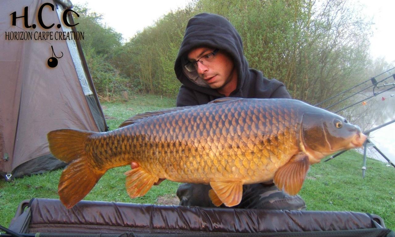 BAPTISTE FIORANI - TESTEUR HCC