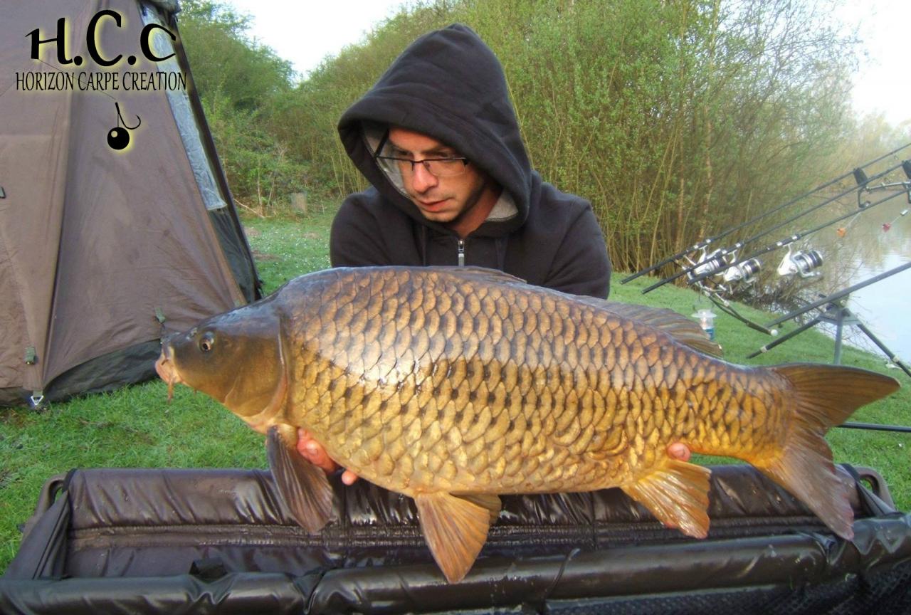 BAPTISTE FIORANI - TESTEUR HCC