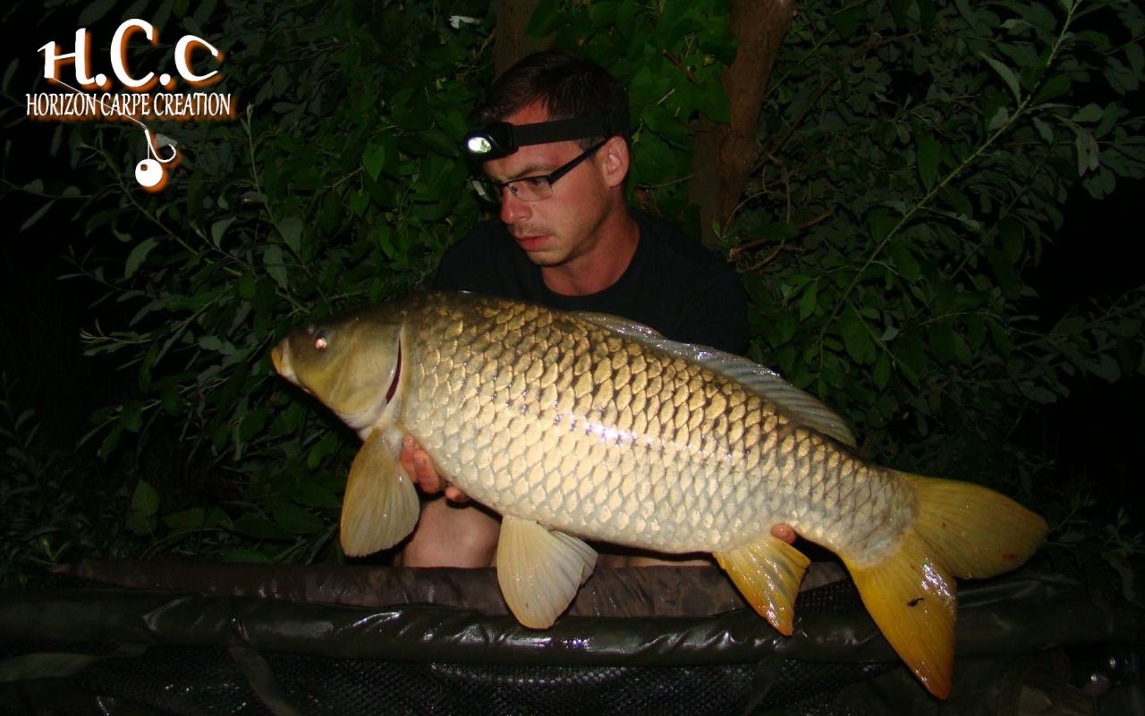 BAPTISTE FIORANI - TESTEUR HCC