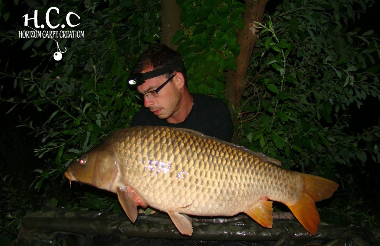BAPTISTE FIORANI - TESTEUR HCC