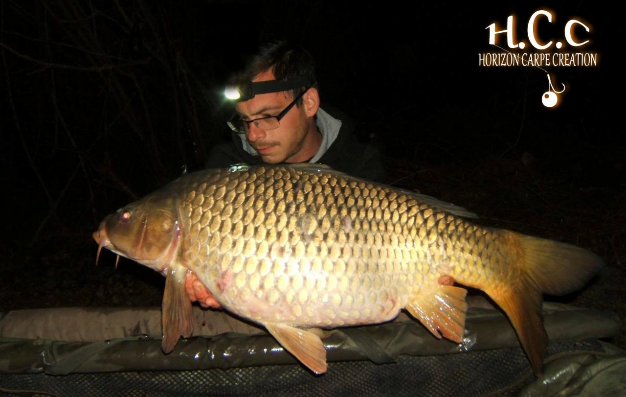 BAPTISTE FIORANI - TESTEUR HCC