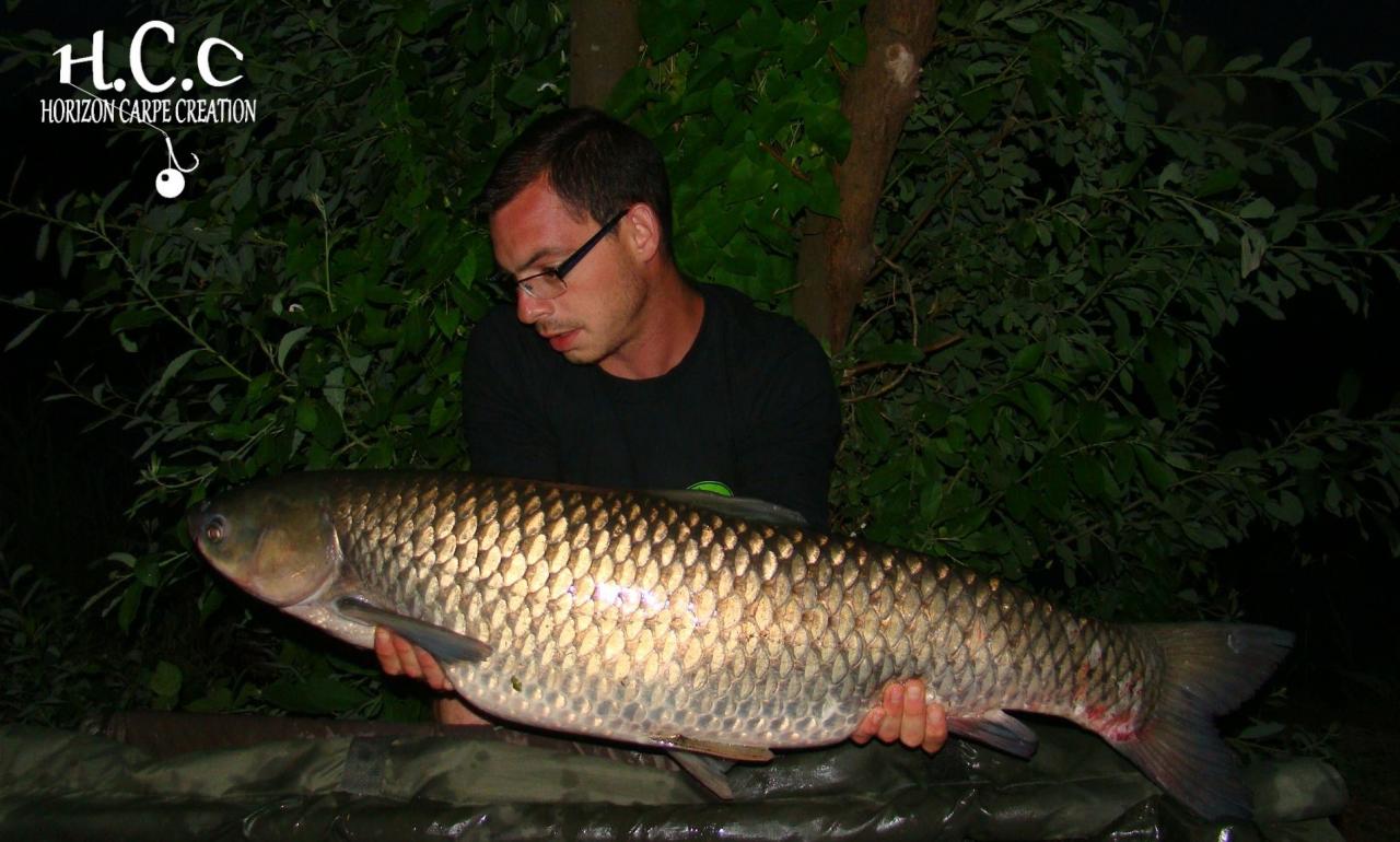 BAPTISTE FIORANI - TESTEUR HCC