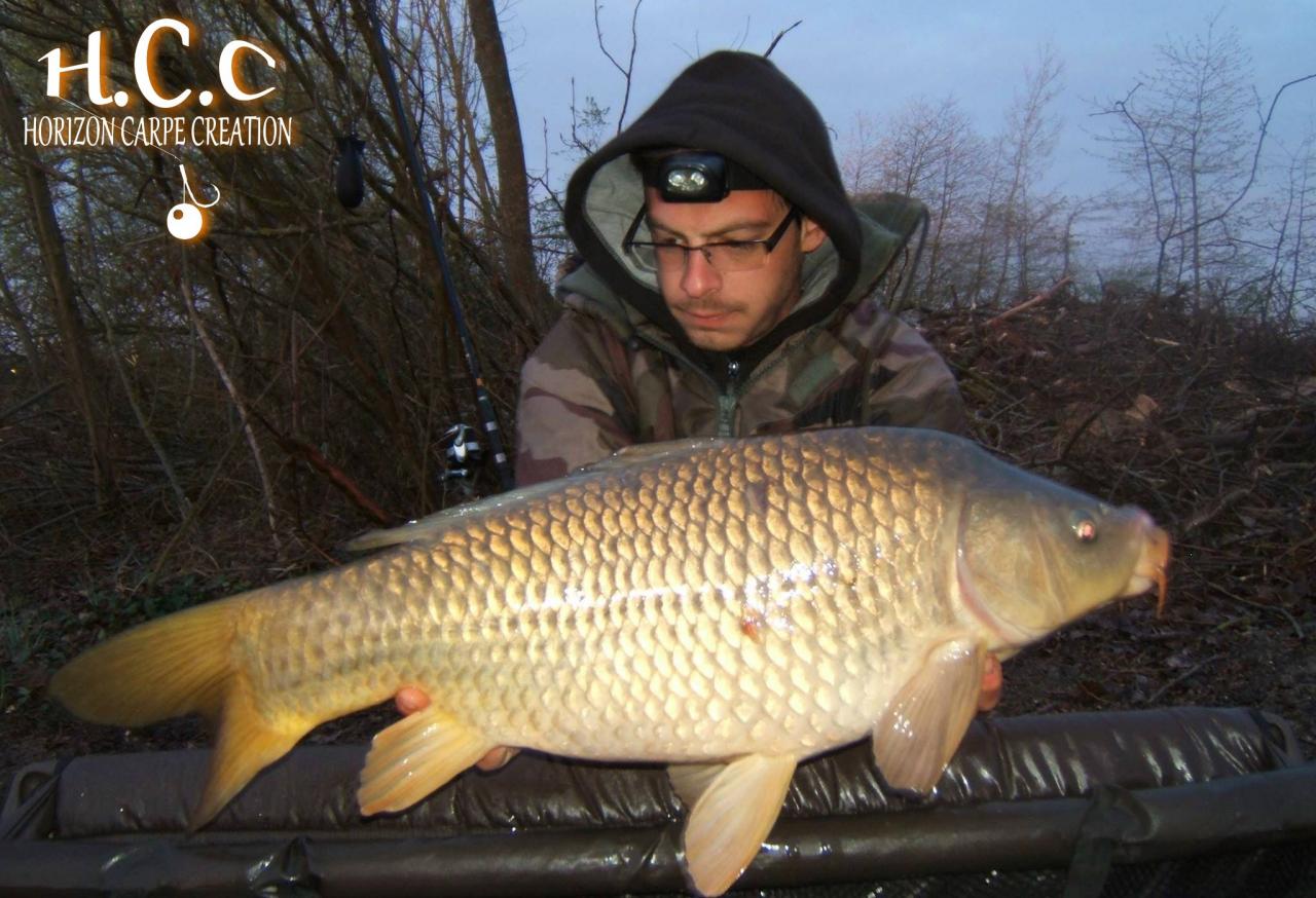 BAPTISTE FIORANI - TESTEUR HCC