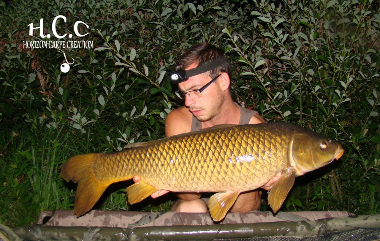 BAPTISTE FIORANI - TESTEUR HCC