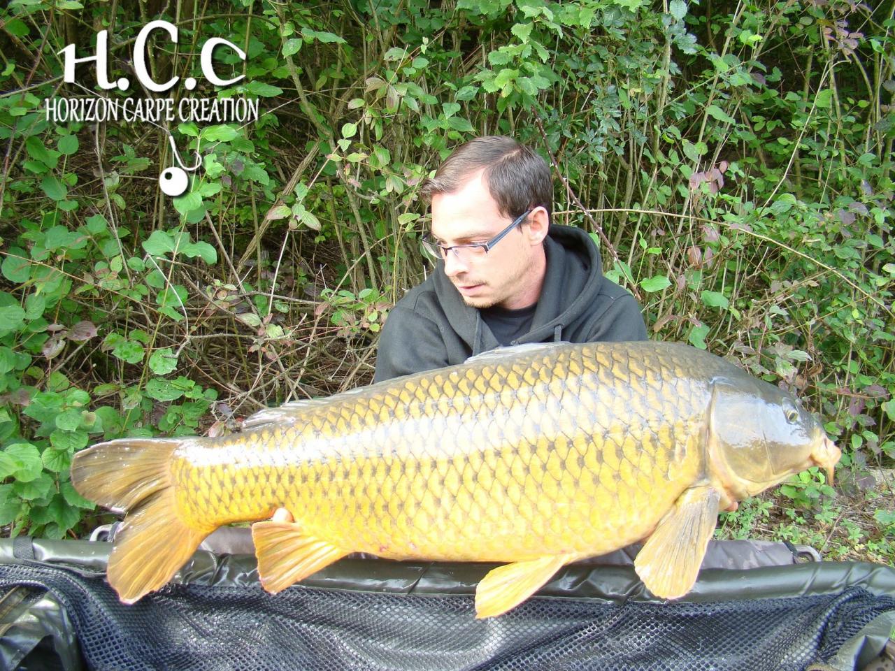 BAPTISTE FIORANI - TESTEUR HCC
