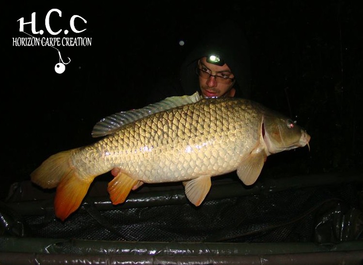 BAPTISTE FIORANI - AMI HCC
