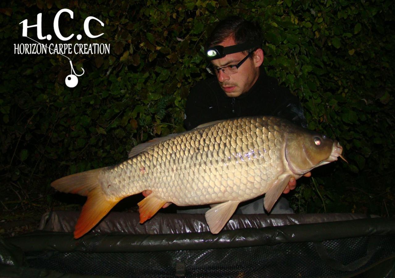 BAPTISTE FIORANI - AMI HCC